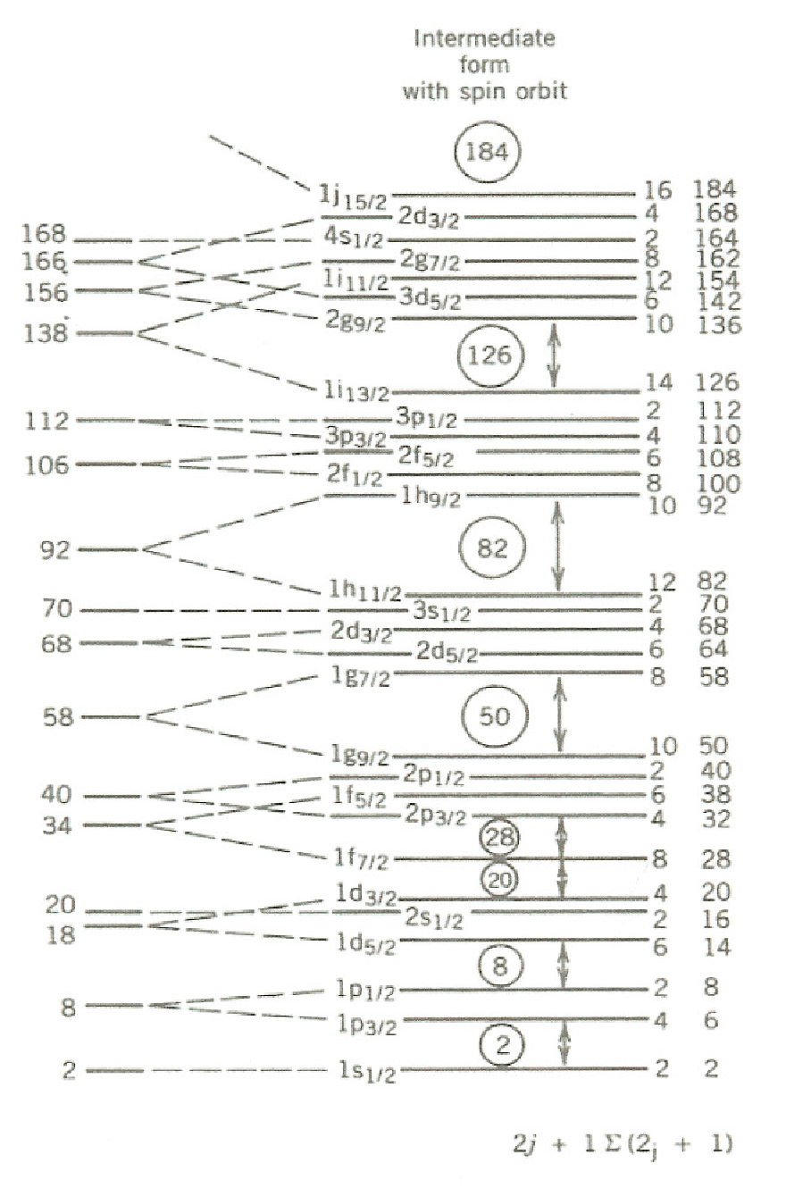 A nuclear shell model energy level diagram showing the splitting of shells from an intermediate form with spin orbit coupling.