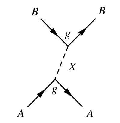 A t-channel Feynman diagram shows two particles A scattering into two particles B via the exchange of a dashed line particle X, with coupling g at both vertices.