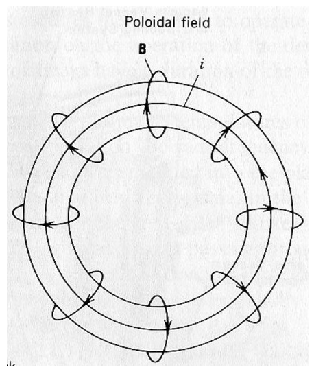 Diagram illustrating a poloidal magnetic field B circling a toroidal current i, indicating field lines perpendicular to the current.